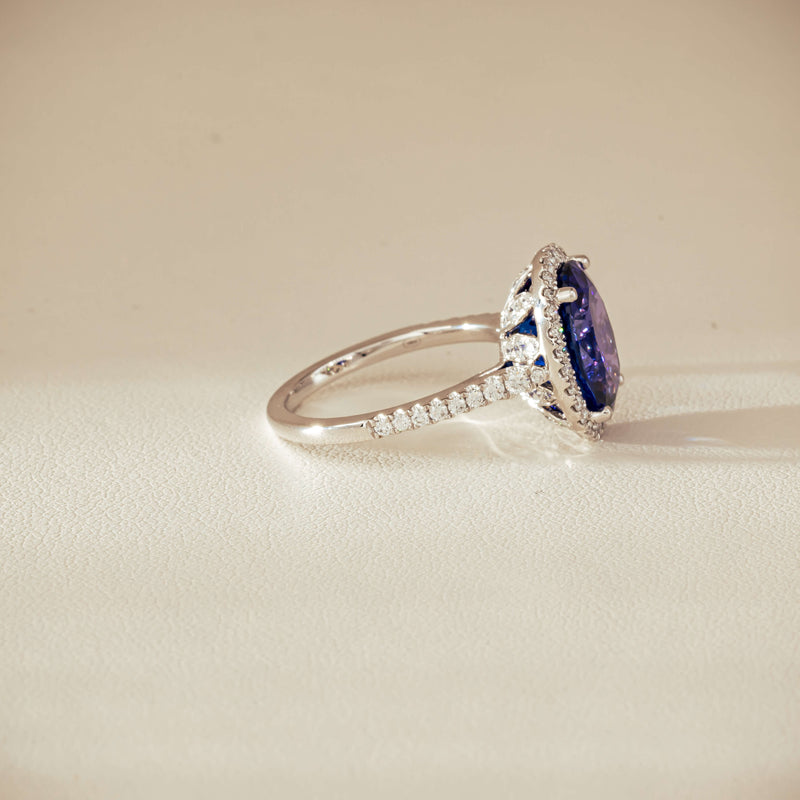 18ct White Gold 5.29ct Tanzanite & Diamond Sierra Ring - Ring - Walker & Hall