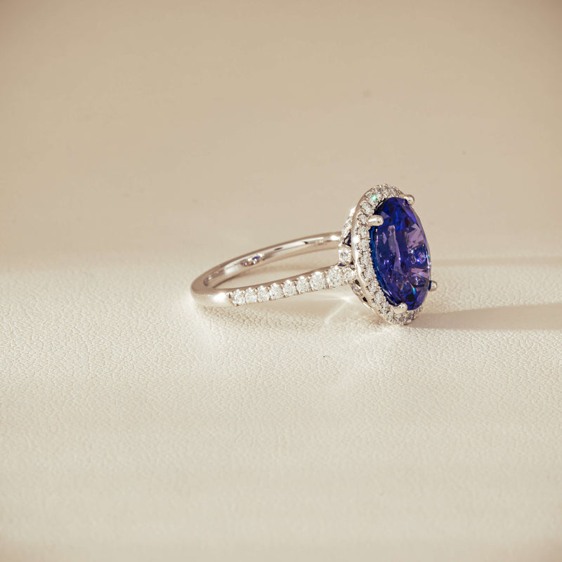 18ct White Gold 5.29ct Tanzanite & Diamond Sierra Ring - Ring - Walker & Hall