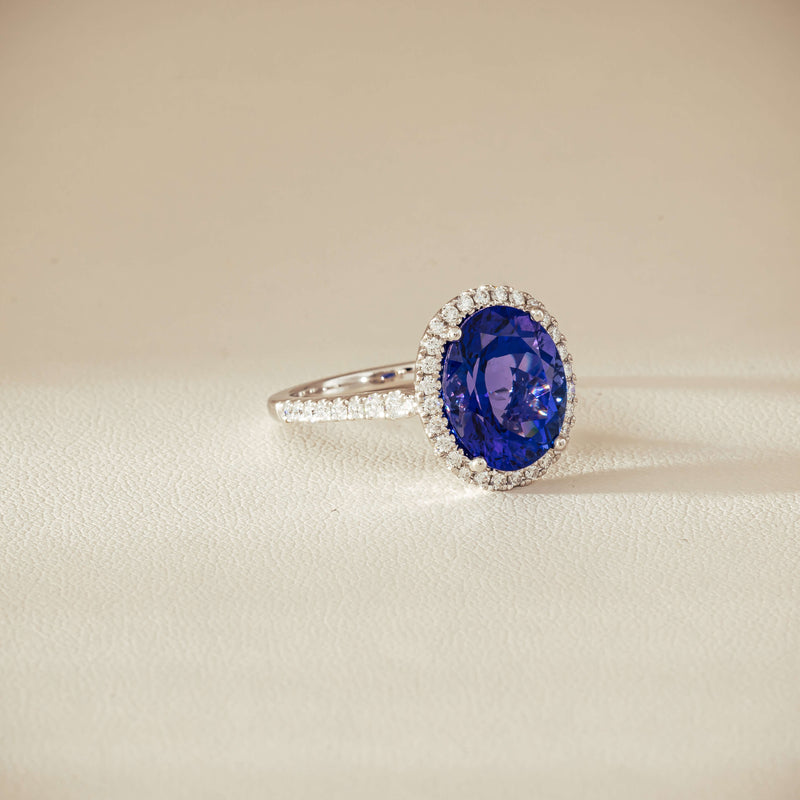 18ct White Gold 5.29ct Tanzanite & Diamond Sierra Ring - Ring - Walker & Hall