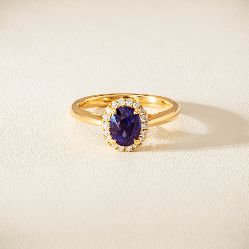 18ct Yellow Gold 1.58ct Sapphire & Diamond Nina Ring - Ring - Walker & Hall