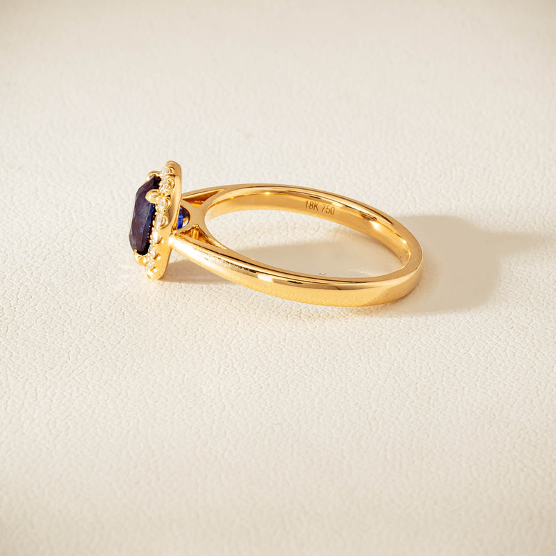 18ct Yellow Gold 1.58ct Sapphire & Diamond Nina Ring - Ring - Walker & Hall
