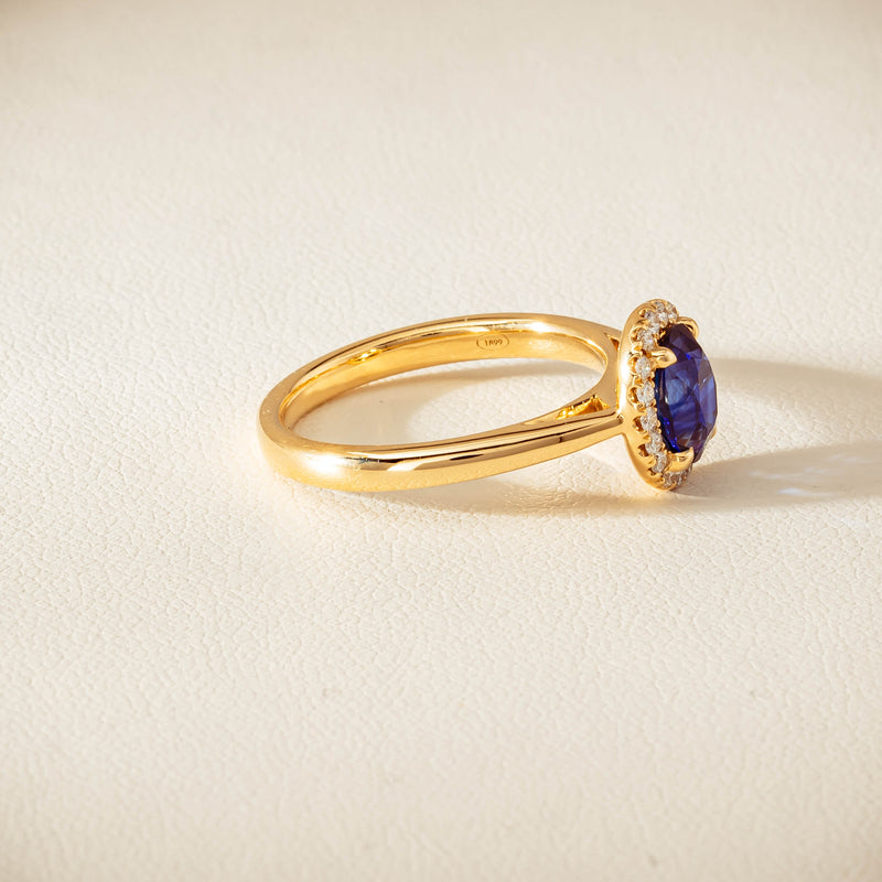 18ct Yellow Gold 1.58ct Sapphire & Diamond Nina Ring - Ring - Walker & Hall