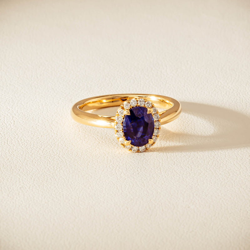 18ct Yellow Gold 1.58ct Sapphire & Diamond Nina Ring - Ring - Walker & Hall