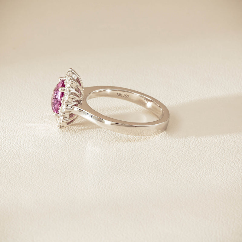 18ct White Gold 2.03ct Pink Sapphire & Diamond Belle Ring - Ring - Walker & Hall