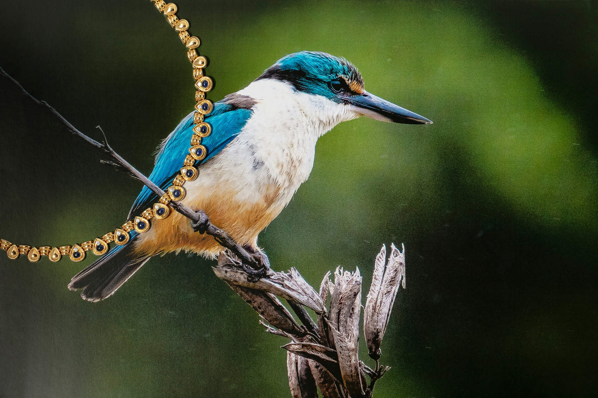 Peter Rees bird photograph with Vintage necklace overlaid