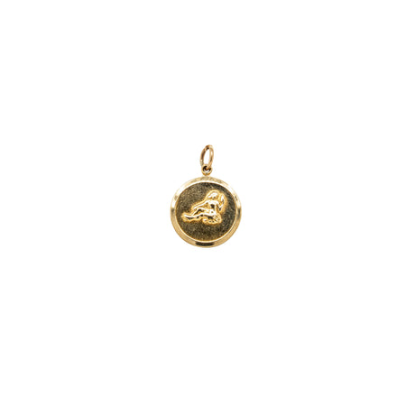 Deja Vu 9ct Yellow Gold Aquarius Symbol Charm-Charm-Walker & Hall