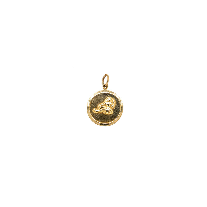 Deja Vu 9ct Yellow Gold Aquarius Symbol Charm-Charm-Walker & Hall