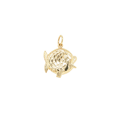 Deja Vu 9ct Yellow Gold Hollow Fish Charm-Charm-Walker & Hall