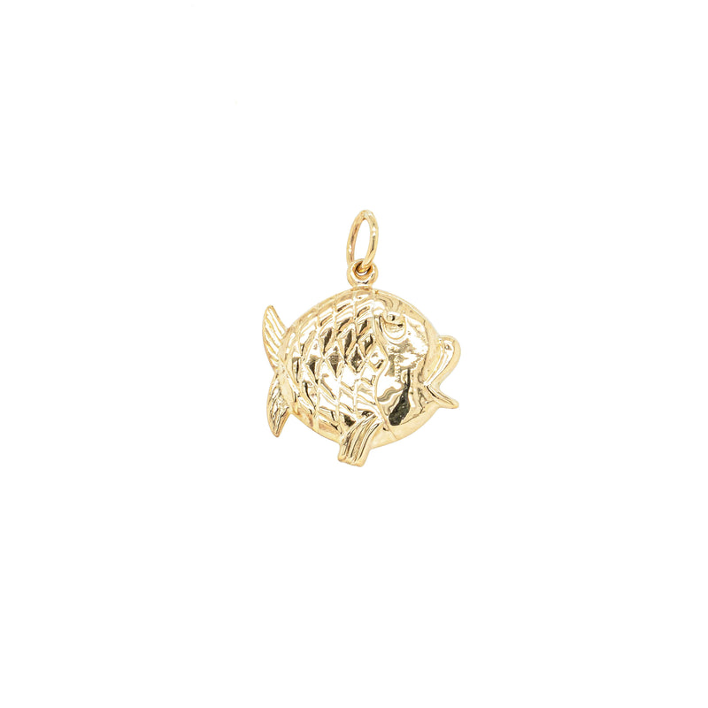 Deja Vu 9ct Yellow Gold Hollow Fish Charm-Charm-Walker & Hall