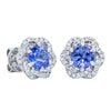 18ct White Gold Tanzanite & Diamond Halo Earrings-Earrings-Walker & Hall