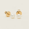 9ct Yellow Gold Akoya Pearl Studs - 4mm - Earrings - Walker & Hall