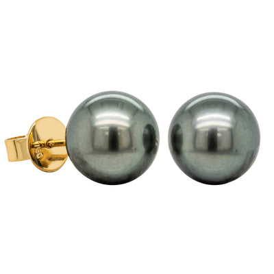 18ct Yellow Gold Tahitian Black Pearl Stud Earrings-Earrings-Walker & Hall