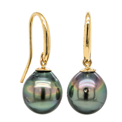 9ct Yellow Gold Tahitian Black Pearl Earrings-Earrings-Walker & Hall