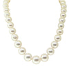 9ct White Gold South Sea Pearl Strand-Necklace-Walker & Hall
