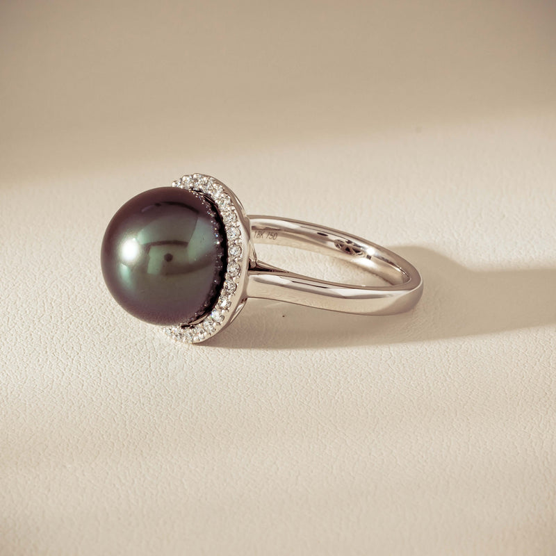 18ct White Gold 12.4mm Tahitian Pearl Diamond Callisto Ring - Ring - Walker & Hall