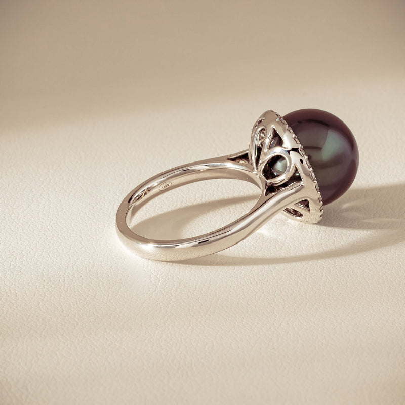 18ct White Gold 12.4mm Tahitian Pearl Diamond Callisto Ring - Ring - Walker & Hall
