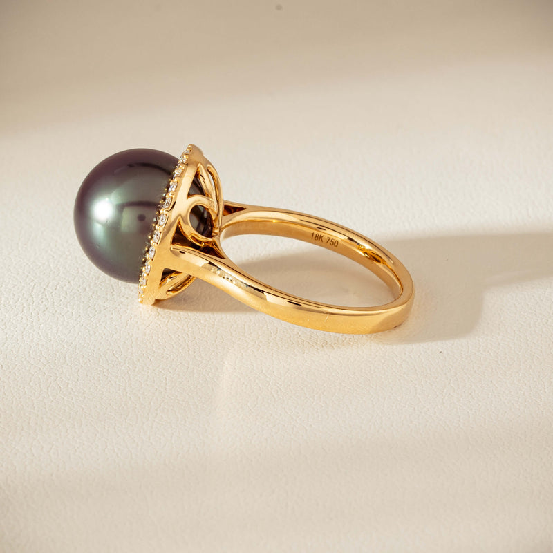 18ct Yellow Gold 12.8mm Tahitian Black Pearl Diamond Callisto Ring - Ring - Walker & Hall