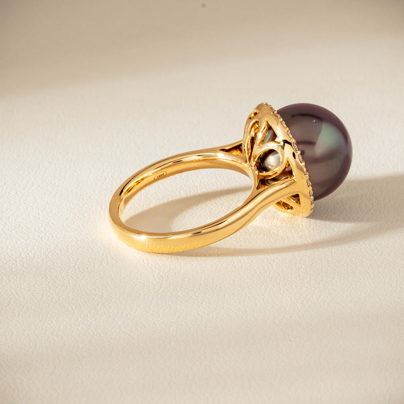 18ct Yellow Gold 12.8mm Tahitian Black Pearl Diamond Callisto Ring - Ring - Walker & Hall