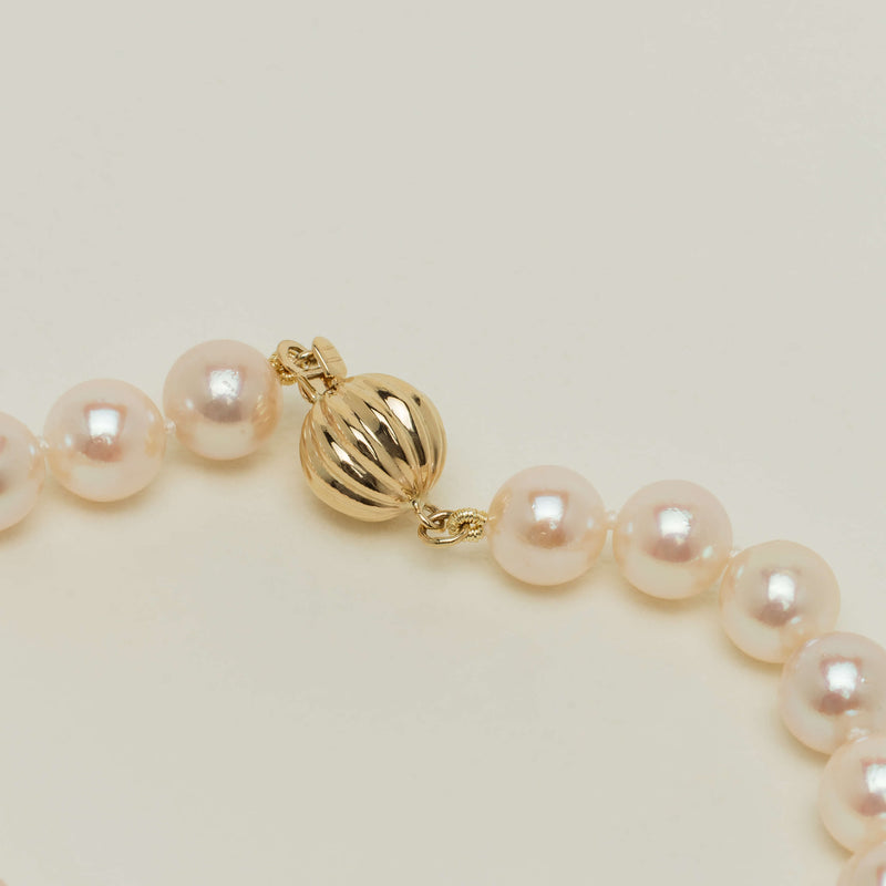 9ct Yellow Gold Akoya 7-7.5mm Pearl Strand - 50cm - Necklace - Walker & Hall