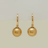 9ct Yellow Gold 10.5mm Golden South Sea Earrings - Earrings - Walker & Hall