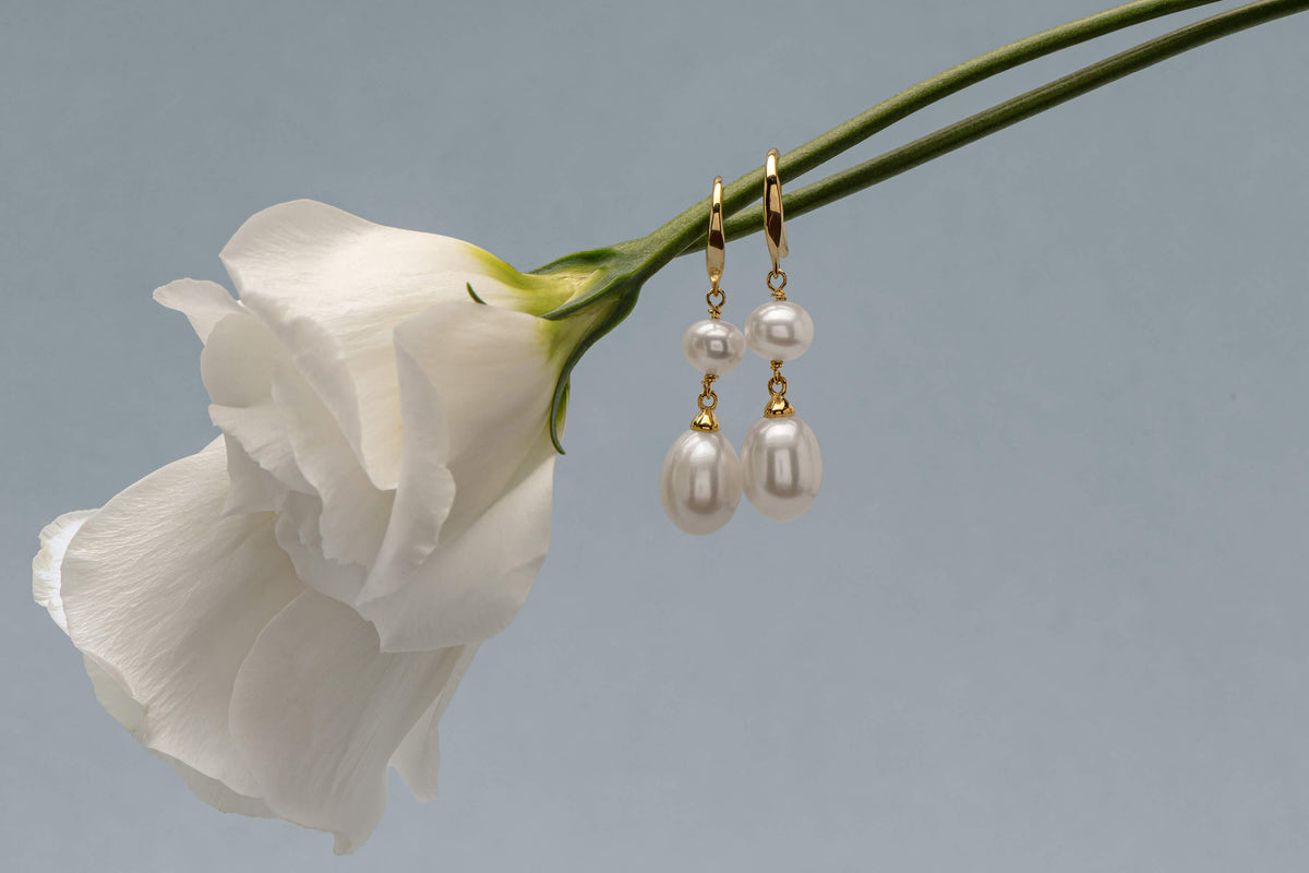 9ct Yellow Gold Rosie Pearl Earrings dangling from white rose stem