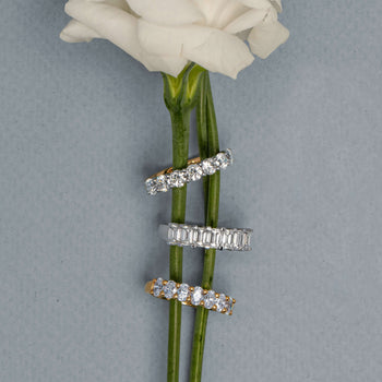 Three diamond bands on white rose stem
