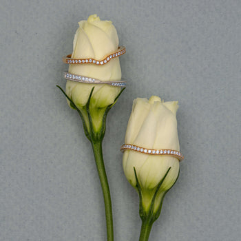 Three diamond fitted bands on white rose buds