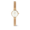 Daniel Wellington Petite Mini Evergold Watch-Watch-Walker & Hall