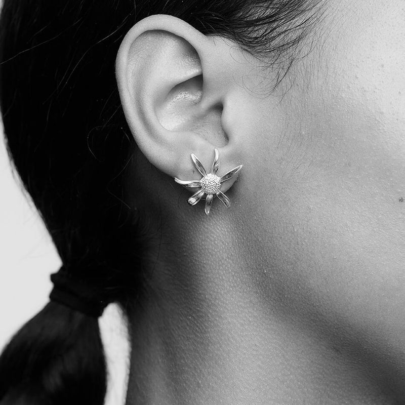 Meadowlark Medium Daisy Stud Earrings - Gold Plated-Earrings-Walker & Hall