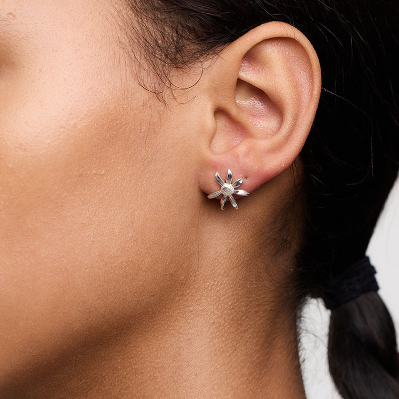 Meadowlark Small Daisy Stud Earrings - Sterling Silver-Earrings-Walker & Hall