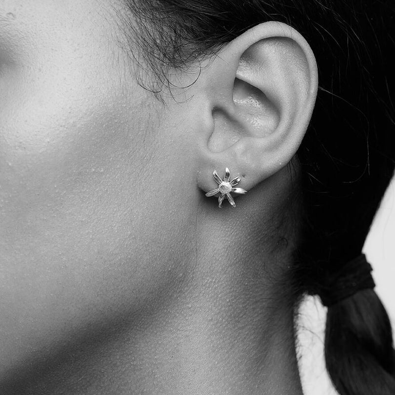 Meadowlark Small Daisy Stud Earrings - Gold Plated-Earrings-Walker & Hall