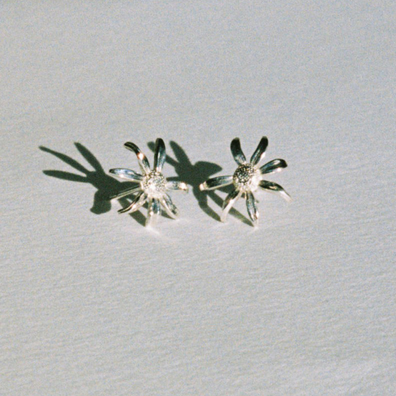Meadowlark Small Daisy Stud Earrings - Sterling Silver-Earrings-Walker & Hall