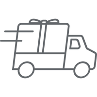 Express shipping icon