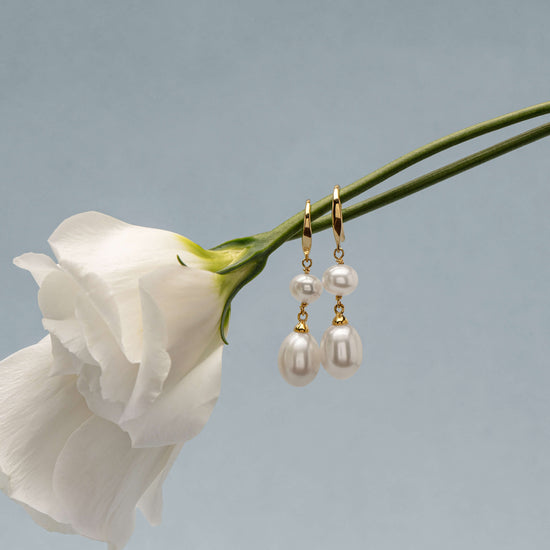 Rosie-GWP-square - Walker & Hall