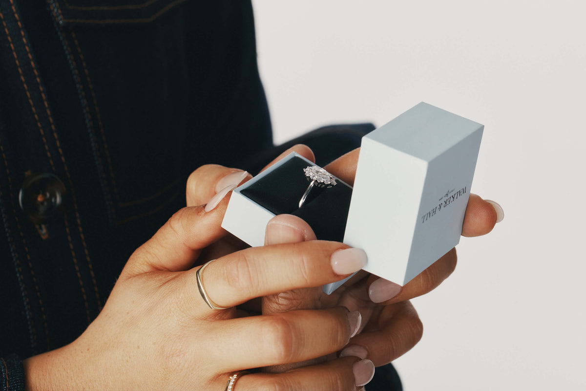 W_H-2025-SHOT-38-4347-2_4794de64-ebd0-4e07-88a9-e391bc1ef88b - Walker & Hall