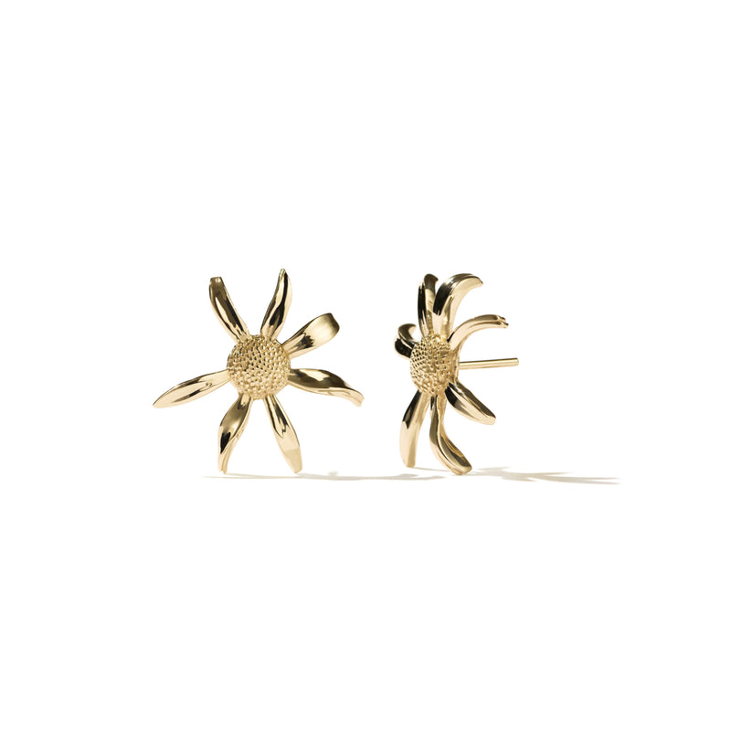 Meadowlark Medium Daisy Stud Earrings - Gold Plated-Earrings-Walker & Hall