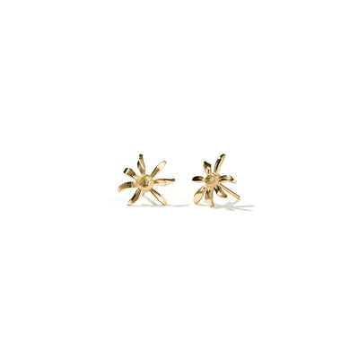 Meadowlark Small Daisy Stud Earrings - Gold Plated-Earrings-Walker & Hall