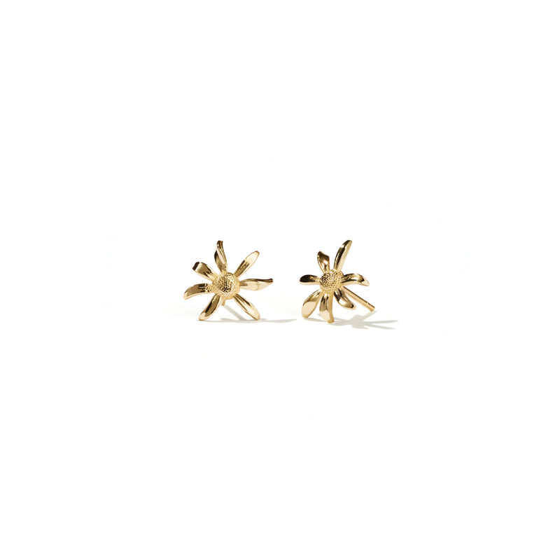 Meadowlark Small Daisy Stud Earrings - Gold Plated-Earrings-Walker & Hall