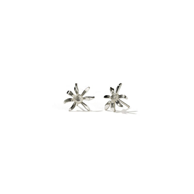 Meadowlark Small Daisy Stud Earrings - Sterling Silver-Earrings-Walker & Hall