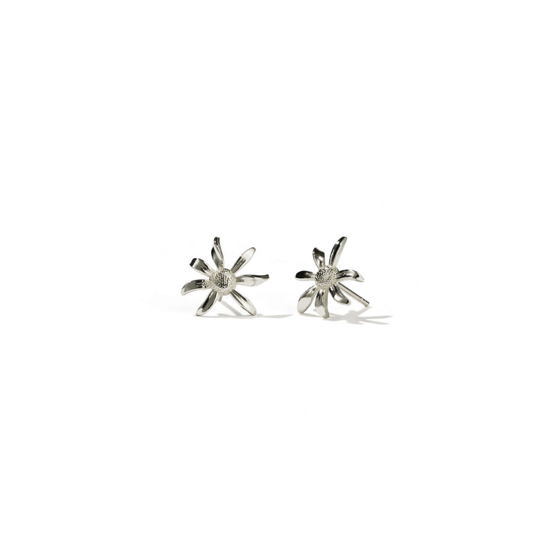 Meadowlark Small Daisy Stud Earrings - Sterling Silver-Earrings-Walker & Hall