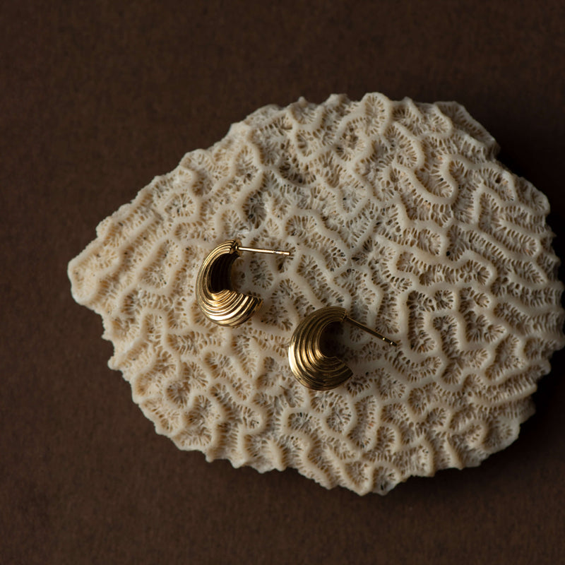 Zoe & Morgan x Walker & Hall Mini Lucia Hoop Earrings - Gold Vermeil-Earrings-Walker & Hall