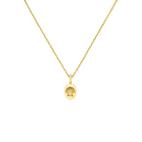 Zoe & Morgan Society of Shell Lovers Necklace - Gold Vermeil - Necklace - Walker & Hall