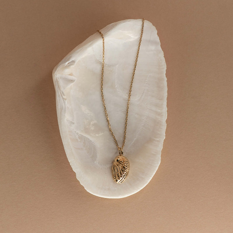 Zoe & Morgan Soul Paua Necklace - Gold Vermeil - Necklace - Walker & Hall