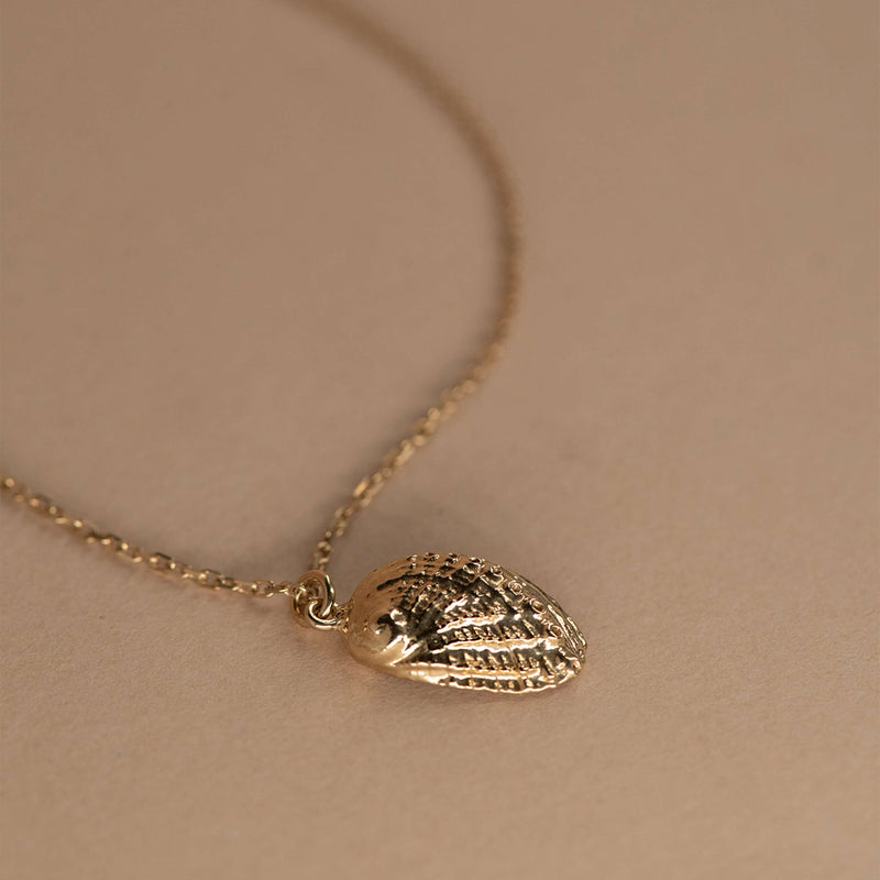 Zoe & Morgan Soul Paua Necklace - Gold Vermeil - Necklace - Walker & Hall