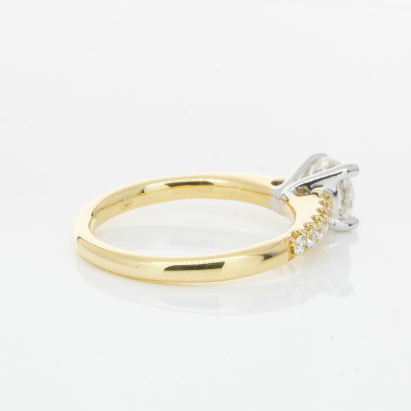 18ct Yellow Gold 1.00ct Diamond Meridien Ring-Ring-Walker & Hall