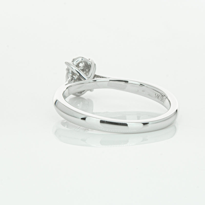 14ct White Gold Diamond Mila Ring-Ring-Walker & Hall