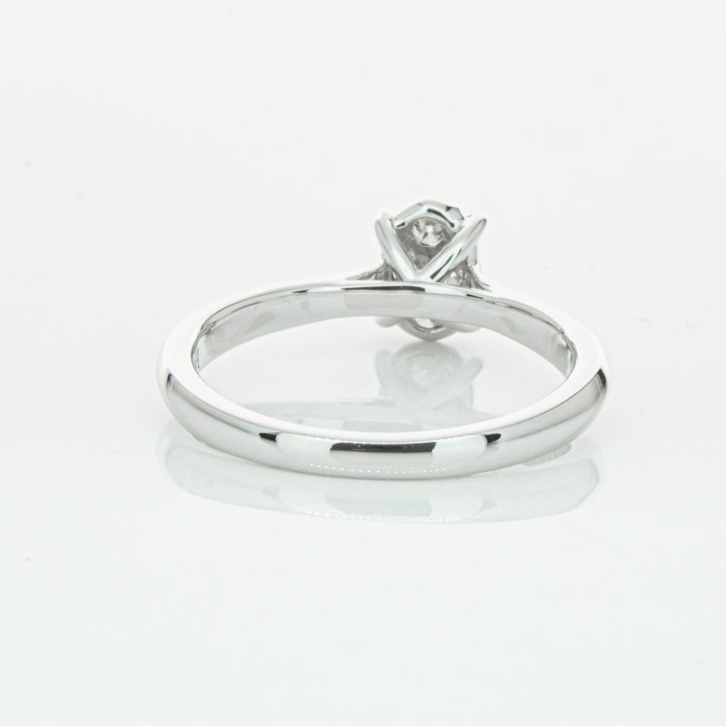 14ct White Gold Diamond Mila Ring-Ring-Walker & Hall