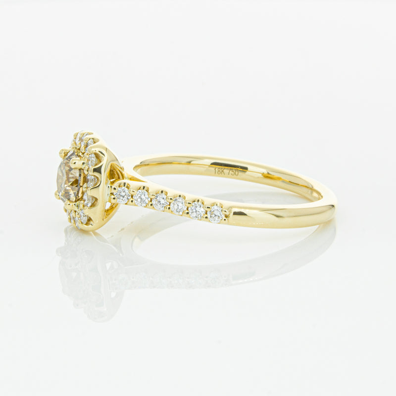 18ct Yellow Gold Champagne Diamond Manhattan Ring-Ring-Walker & Hall