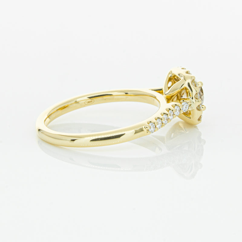 18ct Yellow Gold Champagne Diamond Manhattan Ring-Ring-Walker & Hall