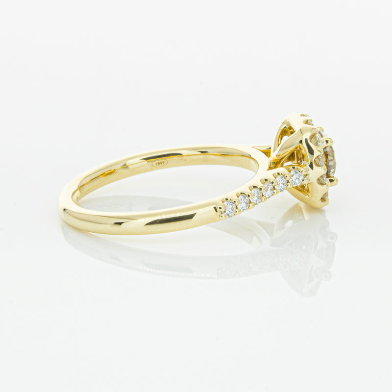 18ct Yellow Gold Champagne Diamond Manhattan Ring-Ring-Walker & Hall